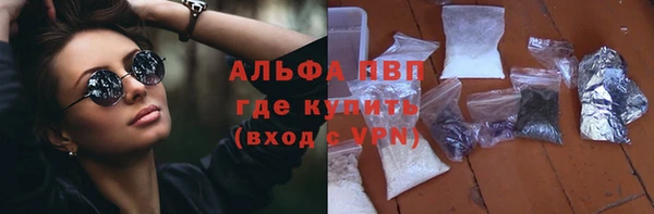 ПСИЛОЦИБИНОВЫЕ ГРИБЫ Липки