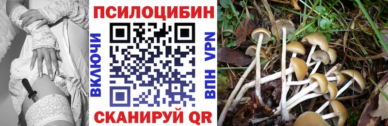 Галлюциногенные грибы ЛСД  Арамиль 